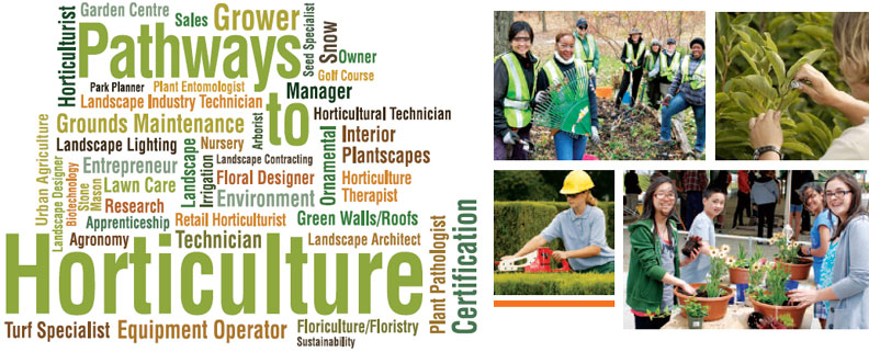 landscape technician