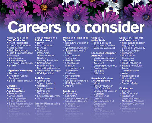 Careers to Consider