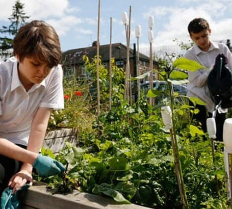 Weeding, writing and arithmetic… why green fingers are good for our children.